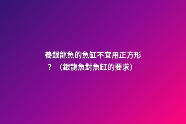 養銀龍魚的魚缸不宜用正方形？（銀龍魚對魚缸的要求）